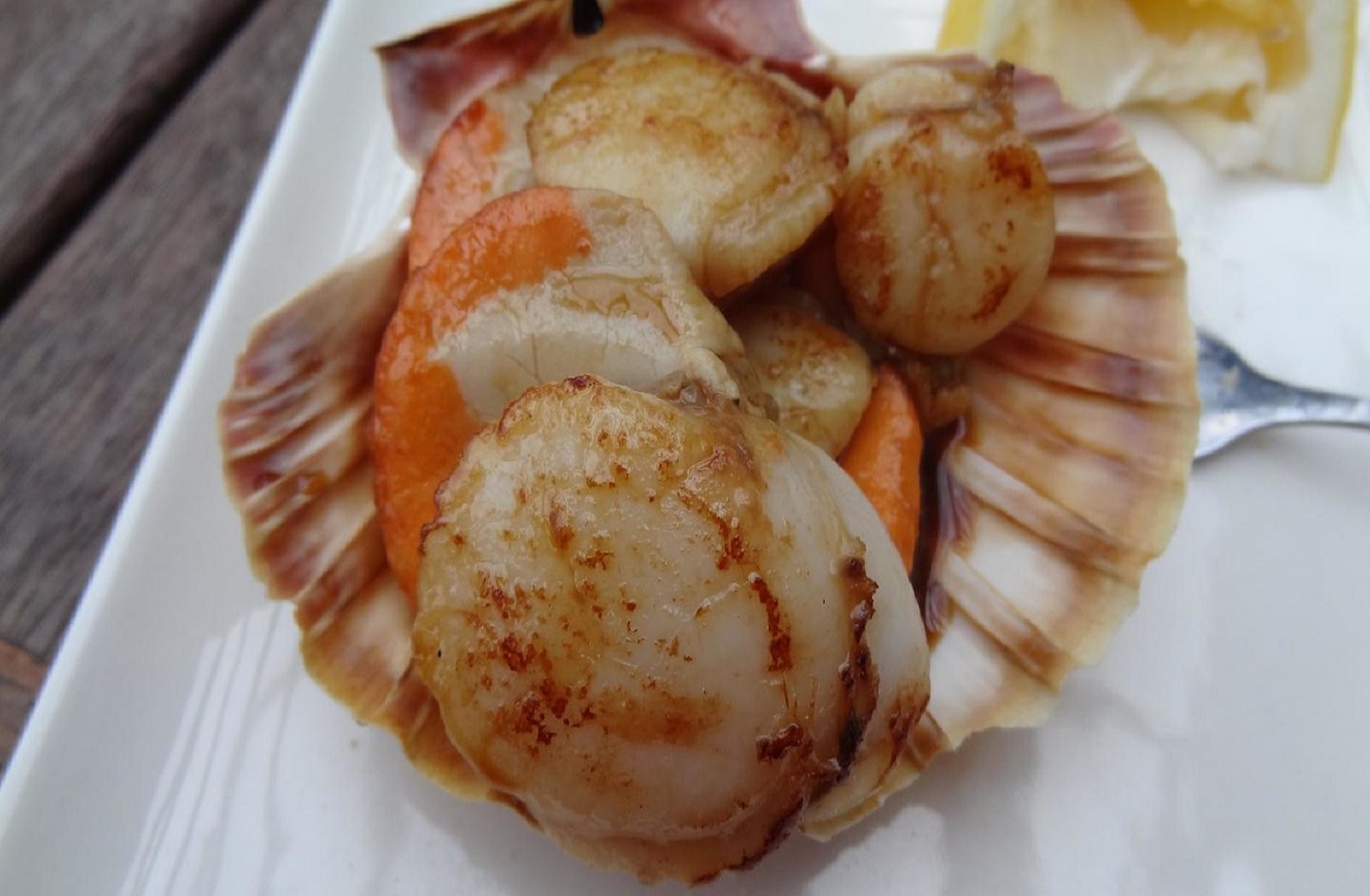 Tipa_(scallops)